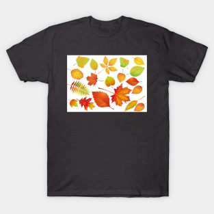 Colourful autumn leaves - Colours of fall season T-Shirt